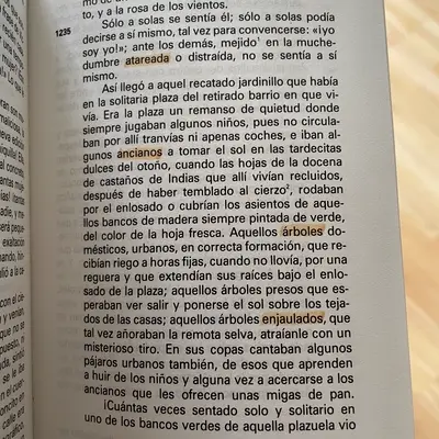 A book page curving towards the spine, four words marked with an orange highlighter.