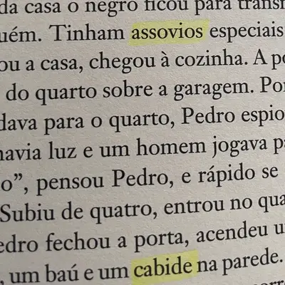 Two words marked with a yellow highlighter in a Portuguese book.
